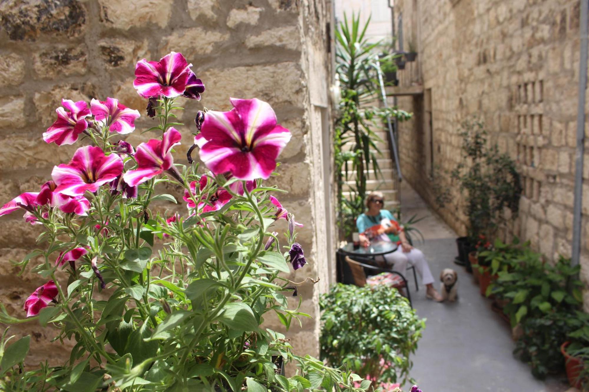 Street Garden Apartment Hvar Town Bagian luar foto